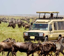 5-Daagse Kenia Safari Tour - Hell's Gate, Lake Naivasha, Lake Nakuru en Masai Mara - Photo 2