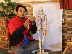 15 Day 15-Hour Anatomy of Yoga: A Teacher Training Series Online Course