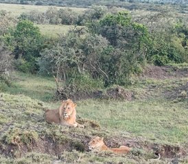 7-Daagse Beste van Kenia Budget Safari - Photo 5