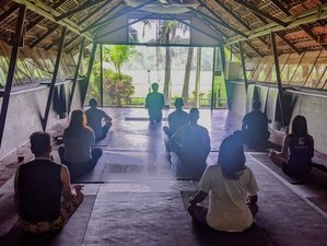 8 Day Cosmic Roots Retreat: A Soul-Deep Immersion in Yoga, Detox & Sacred Reconnection in India