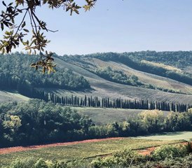 7 días de vacaciones de yoga mágicas en la Toscana, Italia - Photo 4