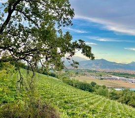 77 Day Luxury Yoga Retreat in Italy - Photo 1