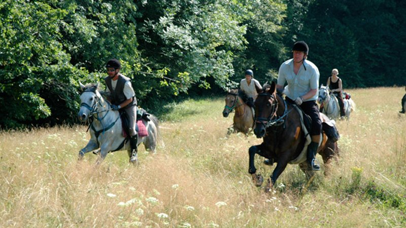 8 Days Center Based Trails Horseriding Holiday in Central Romania