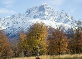 Coyhaique Retreats und Reisen