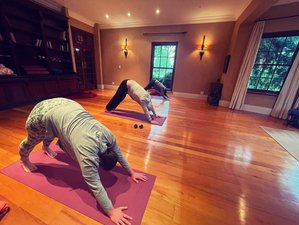 4 Day Nourish and Flourish: Vegan Cooking and Wellness Holiday in Knysna, South Africa