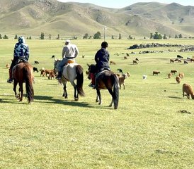 66 jours randonnée équestre dans la vallée de l’Orkhon, Mongolie - Photo 1