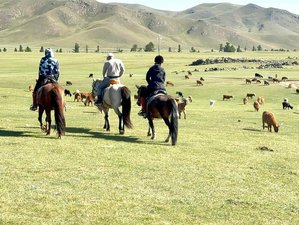 6 jours randonnée équestre dans la vallée de l’Orkhon, Mongolie