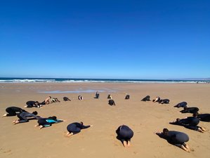 10-Daagse Surfkamp in Tamraght, Marokko met Traditioneel Guesthouse