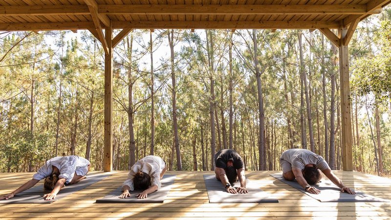 5 Day The Not So Serious Yoga and Wine Retreat in Alentejo Coast, Portugal