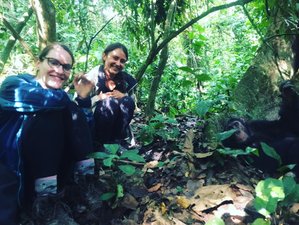 12 Day Uganda Safari with Gorilla Trekking