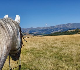 8 jours de randonnée équestre au Royaume des Thraces en Bulgarie - Photo 3