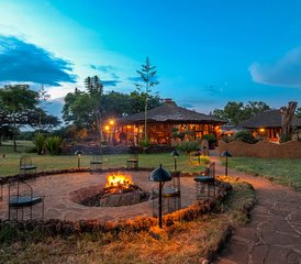 7 jours en stage de safari écologique au Masai Mara, au Serengeti, au Ngorongoro et à Amboseli, Kenya et Tanzanie - Photo 5