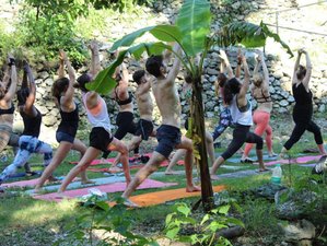 28 Day 300-Hour Vinyasa Yoga Teacher Training in Rishikesh, India