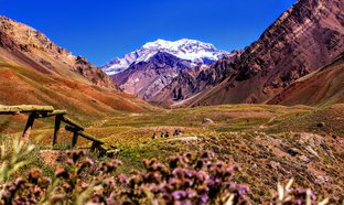 Argentina Retreats & Trips