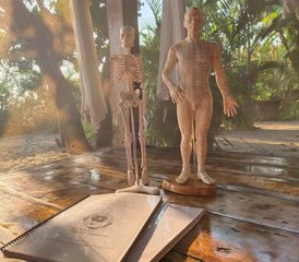 13 días de formación de profesora de terapia de yoga Yin de 100 horas en Goa, India - Photo 4