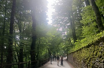 4-Daagse Yogaretreat met Heilige Bossen in Assisi Gubbio en La Verna Italië
