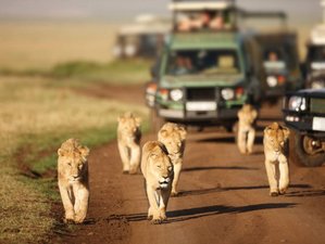 14 Day Ultimate Epic Kenya and Tanzania Adventure Safari