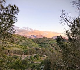 5 Tage Männer Retreat mit Yoga, Breathwork und Sharing Circles im Sonnigen Süden Spaniens - Photo 4