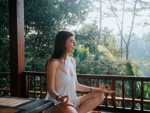5 Day Subconscious Rewiring and Yoga Holiday in Ubud, Bali, Indonesia