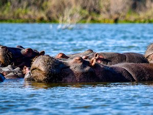 7 Day Incredible Best of Kenya Budget Safari