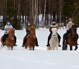 6 Tage Multi-Aktivitäten Winterreiturlaub in Svansele, Schwedisch-Lappland - Photo 3