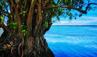 District d'Ampara Retraites et Voyages