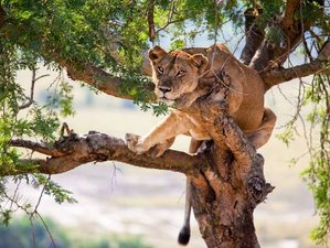 3 Day Adventure Safari in Queen Elizabeth National Park, Uganda