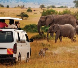 83-Daagse Groepssafari met Kamperen in Maasai Mara, Kenia met Dagelijkse Vertrekken - Photo 1