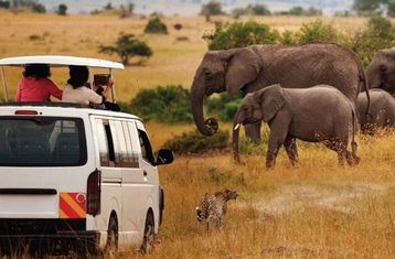 3-Daagse Groepssafari met Kamperen in Maasai Mara, Kenia met Dagelijkse Vertrekken