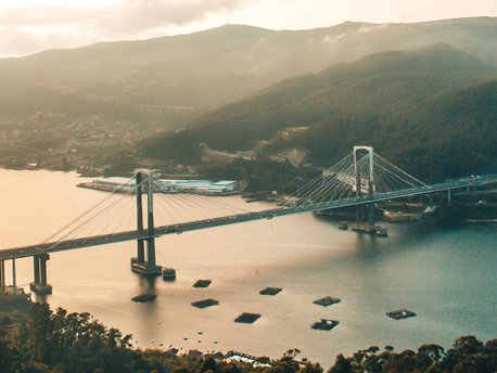 Vigo