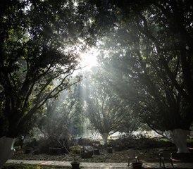 10 Day Spiritual Transformational Yoga Retreat in Rishikesh, India - Photo 5