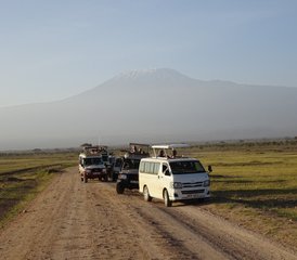 5 jours en stage de safari Big Five à Tsavo East et West, Amboseli et Taita Hills, Kenya - Photo 2