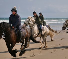 5 jours en stage d’équitation côtière emblématique vers le château de Dunluce et la Chaussée des Géants, Irlande - Photo 4
