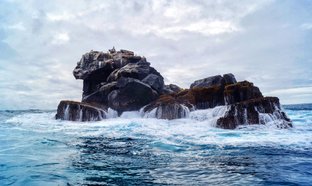 Galapagos Retreats & Trips