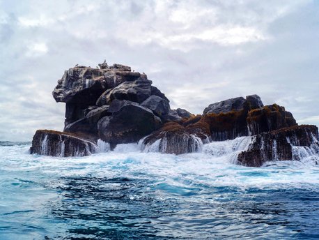 Galapagos Inseln