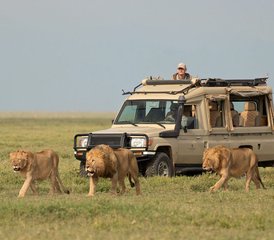 4-Daagse Smaak van Tanzania Budget Safari in Tarangire Serengeti en de Ngorongoro Krater - Photo 2