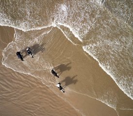 4-Daagse Op Maat Gemaakte Klassieke Paardrijavontuur aan de Causeway Kust in Ierland, Ierland - Photo 3