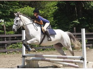7 Week Equestrian Summer Camp for Girls in Newbury, Vermont, USA