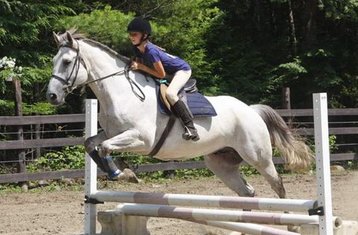 7-Weekse Ruiter Zomerkamp voor Meisjes in Newbury, Vermont, Verenigde Staten