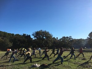 2 Tage Stärkung der Selbstachtung, Führung zur Lebensorientierung und Guiberish Virtuelles Meditation Retreat