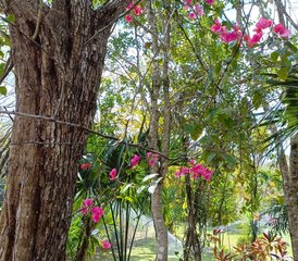 7 Tage Yoga- und Meditationsretreat in Ek Balam, Mexiko für Frauen - Photo 3