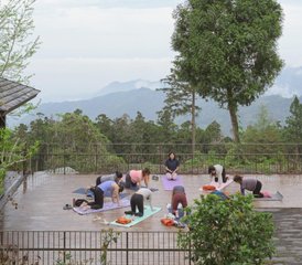 4 Day Yoga and Nature Retreat in Alishan, Taiwan - Photo 3