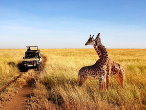 4 Day Tanzania Lodge Safari at Tarangire and Serengeti National Parks and Ngorongoro Crater