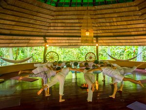8 Day The Spiritual Practice of Reiki: Healing Training in Cahuita, Costa Rica