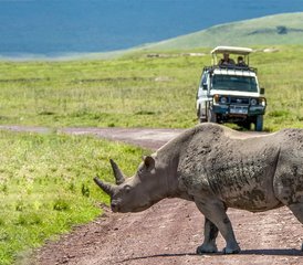 5 Tage Savannah-Expedition, Serengeti-Migration und Big-5-Safari in Tansania ab Sansibar - Photo 3