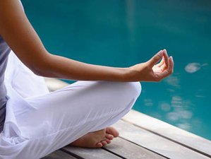 11 Day Forest Reset with Ocean Extension Wellness Tour in Kenya