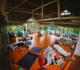8 días de retiro detox ayurvédico y de yoga con meditación cerca de Varkala, Kerala, India - Photo 2
