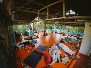 7 Day Rejuvenating Ayurveda and Yoga Retreat with Meditation and Massages at Varkala Beach, India