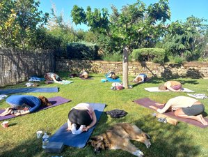 5 jours en stage de yoga, méditation et danse en Provence dans le Luberon, France