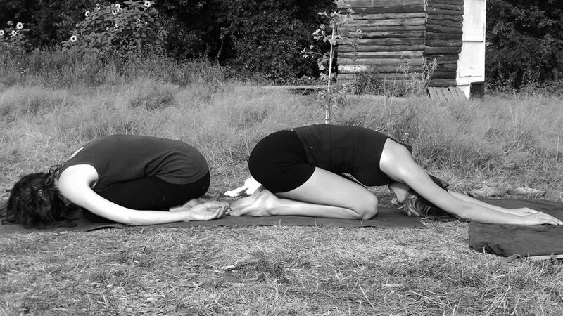 4-Daagse Upasama Stilte Retreat met Yoga, Meditatie en Bosbaden in de Vlaamse Natuur in Retie